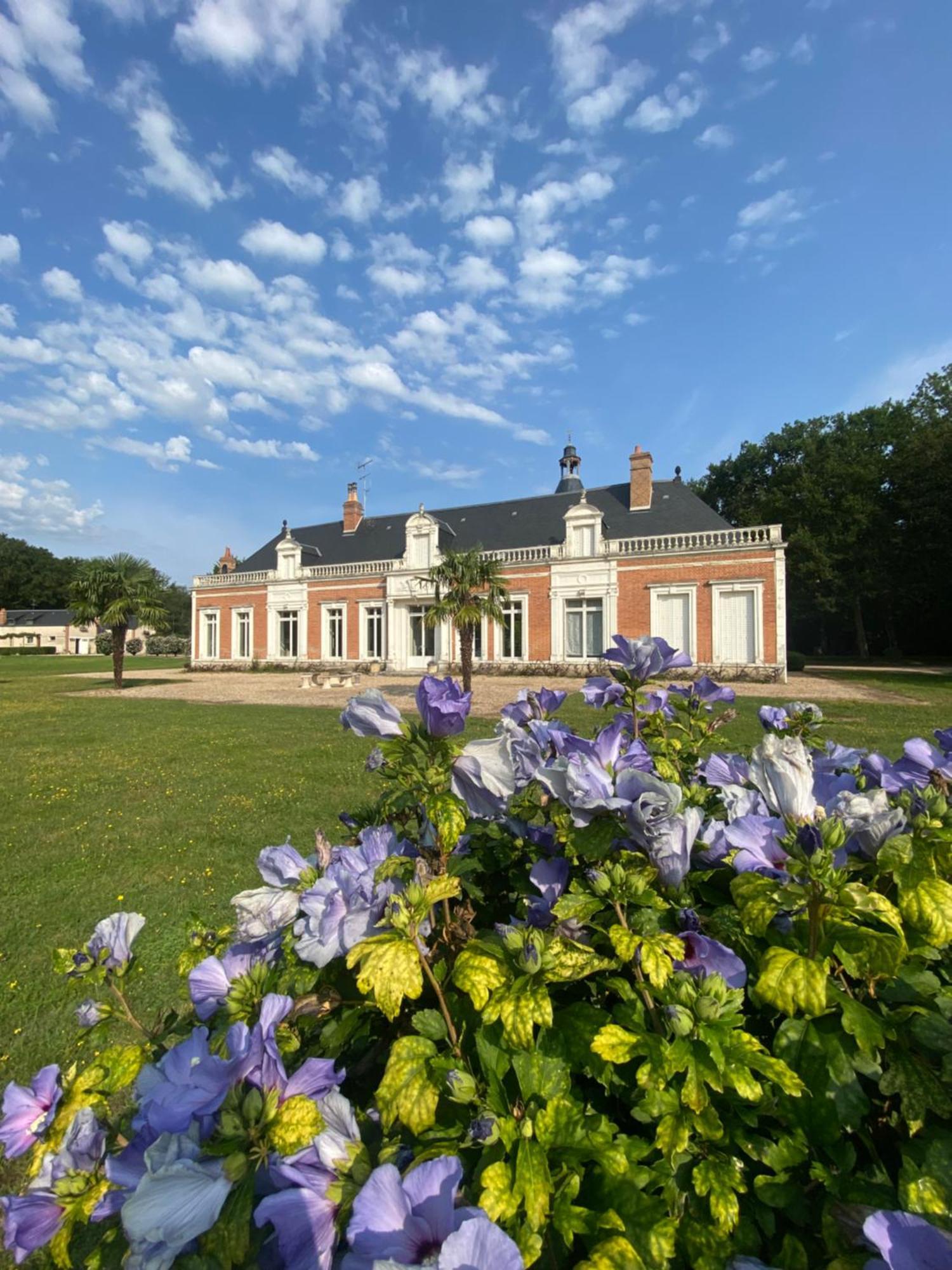 Domaine De Charme - Les Places Lassay-sur-Croisne Extérieur photo
